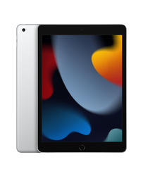 Планшет Apple iPad 10.2" 2021 Wi-Fi+Cellular 256Gb Silver (MK4H3) 4193 фото