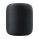 Стационарная 'умная' колонка Apple HomePod Black (MQHW2) 1251 фото 1