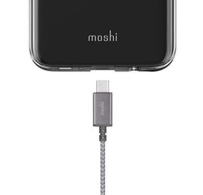 Кабель Moshi Integra™ USB-C to USB-C silver (2 m)  1728 фото