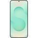 Смартфон Samsung Galaxy S25+ 12/256GB Mint (SM-S936BLGD)