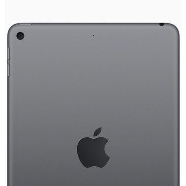 Apple iPad mini 2019 Wi-Fi + Cellular 64GB Space Gray (MUXF2, MUX52) 2265 фото