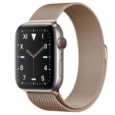 Apple Watch Series 5 Edition 44mm Titanium Case with Gold Milanese Loop (MWR62+ MTU72) 3484 фото