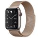 Apple Watch Series 5 Edition 44mm Titanium Case with Gold Milanese Loop (MWR62+ MTU72) 3484 фото 2