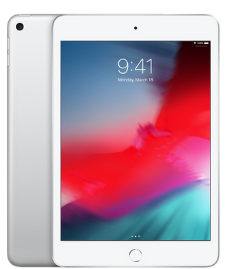 Apple iPad mini 2019 Wi-Fi + Cellular 64GB Silver (MUXG2, MUX62) 2266 фото