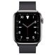 Apple Watch Series 5 Edition 44mm Titanium Case with Space Black Milanese Loop (MWR62+MTU52) 3485 фото 1