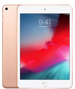 Apple iPad mini 2019 Wi-Fi + Cellular 64GB Gold (MUXH2, MUX72) 2267 фото