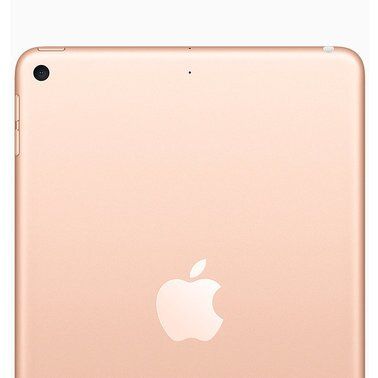 Apple iPad mini 2019 Wi-Fi + Cellular 64GB Gold (MUXH2, MUX72) 2267 фото