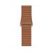 Apple Watch Series 5 Edition 44mm Titanium Case with Brown Leather Loop (MWR62+MXAF2) 3487 фото 3