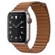 Apple Watch Series 5 Edition 44mm Titanium Case with Brown Leather Loop (MWR62+MXAF2) 3487 фото 2
