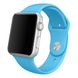 Ремешок Apple Sport Band for Watch 42mm Blue (MLDL2) 377 фото 1