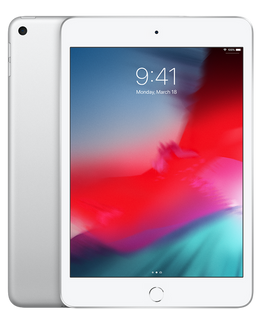 Apple iPad mini 2019 Wi-Fi 256GB Silver (MUU52) 2269 фото