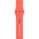 Ремешок Apple 42mm Apricot Sport Band для Apple Watch 380 фото 5