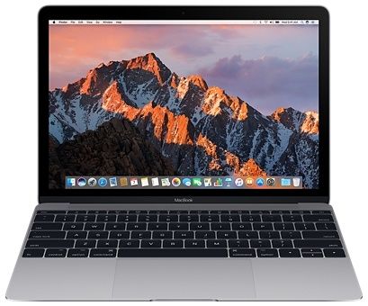Ноутбук Apple MacBook 12" 256GB Space Gray (MNYF2) 2017 1259 фото