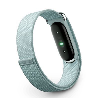 Фітнес-трекер Google Fitbit Air - Fog (GA11015)