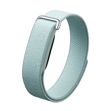 Фітнес-трекер Google Fitbit Air - Fog (GA11015)