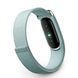 Фітнес-трекер Google Fitbit Air - Fog (GA11015)