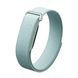 Фітнес-трекер Google Fitbit Air - Fog (GA11015)