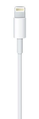 Кабель Apple Lightning to USB Cable (1m) (MD818) 527 фото
