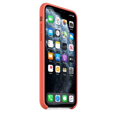 Чoхол Apple Silicone Case для iPhone 11 Pro Clementine (Orange) (MWYQ2) 3652 фото