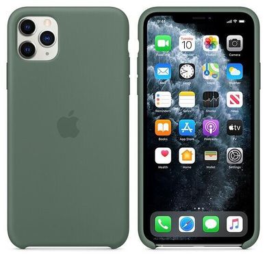 Чехол Apple Silicone Case для iPhone 11 Pro Pine Green (MWYP2) 3653 фото