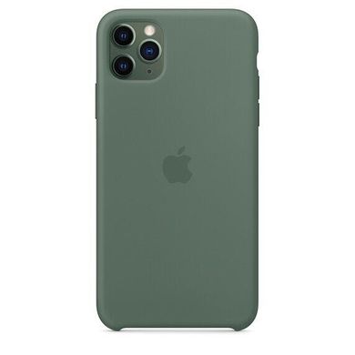 Чехол Apple Silicone Case для iPhone 11 Pro Pine Green (MWYP2) 3653 фото
