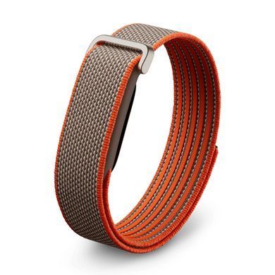 Фітнес-трекер Google Fitbit Air [Special Edition Stephen Curry] - Rye (GA11551)