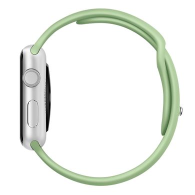Ремінець Apple 42mm Mint Sport Band для Apple Watch 385 фото