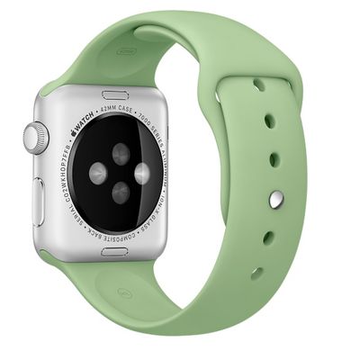 Ремешок Apple 42mm Mint Sport Band для Apple Watch 385 фото