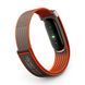 Фітнес-трекер Google Fitbit Air [Special Edition Stephen Curry] - Rye (GA11551)