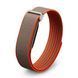 Фітнес-трекер Google Fitbit Air [Special Edition Stephen Curry] - Rye (GA11551)