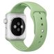 Ремешок Apple 42mm Mint Sport Band для Apple Watch 385 фото 2