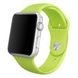 Ремешок Apple 42mm Green Sport Band для Apple Watch 386 фото 1