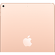 Apple iPad Air Wi-Fi 256 Gold (MUUT2) 2019 2280 фото 3