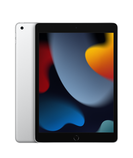 Планшет Apple iPad 10.2" 2021 Wi-Fi 64Gb Silver (MK2L3) 4187 фото