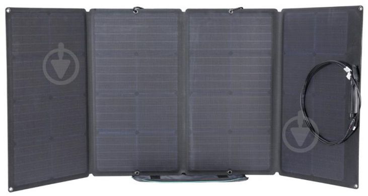 Сонячна панель EcoFlow 160 Вт Solar Panel 110001 фото