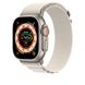 Ремень Apple Alpine Loop Band Medium для Apple Watch 49mm - Starlight (MQE63) 9123 фото 2