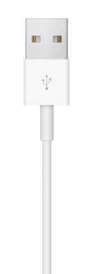 Apple Watch Magnetic Charger to USB Cable (1 m)(MKLG2) 1901 фото