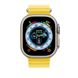Ремень Apple Ocean Band Yellow для Apple Watch 49mm | 45mm | 44mm (MQEC3) 9126 фото 3