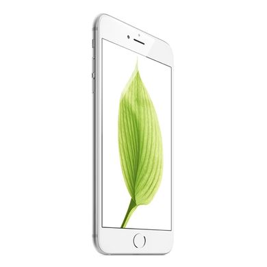 Apple iPhone 6 64Gb Silver 107 фото