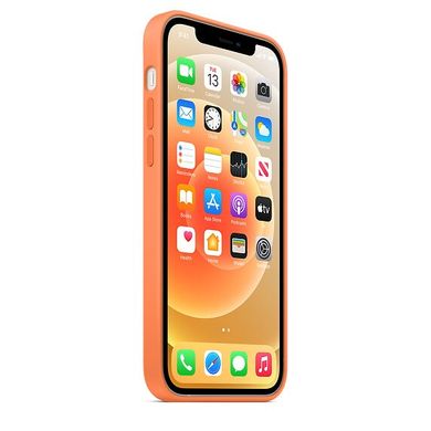 Чехол Apple Silicone Case для iPhone 12 | 12 Pro Kumquat (MHKY3) 3829 фото