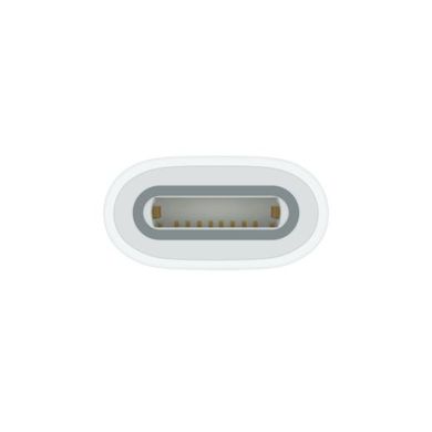 Адаптер Apple USB-C to Apple Pencil (MQLU3) 5612 фото