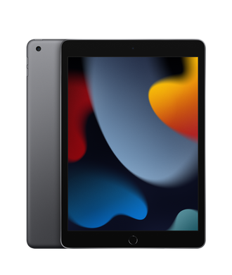 Планшет Apple iPad 10.2" 2021 Wi-Fi+Cellular 256Gb Space Grey (MK4E3) 4192 фото