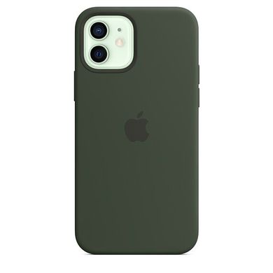 Чехол Apple Silicone Case для iPhone 12 | 12 Pro Cyprus Green (MHL33) 3830 фото
