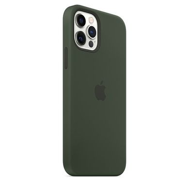 Чехол Apple Silicone Case для iPhone 12 | 12 Pro Cyprus Green (MHL33) 3830 фото