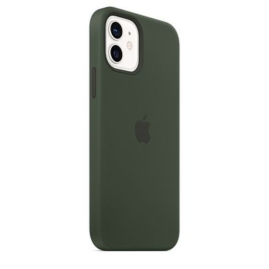 Чохол Apple Silicone Case для iPhone 12 | 12 Pro Cyprus Green (MHL33) 3830 фото