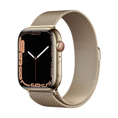 Apple Watch Series 7 GPS + Cellular, 41mm Gold Stainless Steel Case with Milanese Loop Gold (MKHH3) 4148 фото