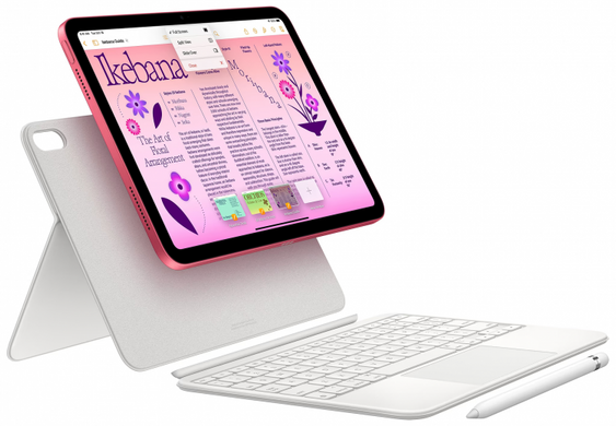 Apple iPad 10.9 2022 Wi-Fi 256GB Pink (MPQC3) 7507 фото