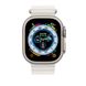 Ремінець Apple Ocean Band White для Apple Watch 49mm | 45mm | 44mm (MQE93) 9126-1 фото 3