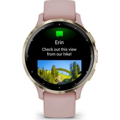 Смарт-часы Garmin Venu 3S Soft Gold S. Steel Bezel w. Dust Rose Case and S. Band (010-02785-03)