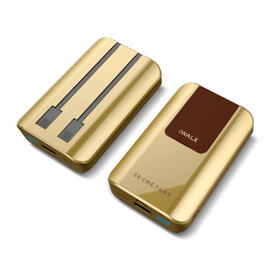 Внешний аккумулятор iWALK Secretary Universal Backup Battery 10000 mah Gold (SBS100G) 1655 фото